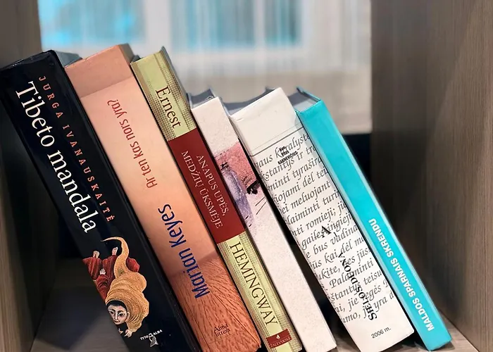 Διαμέρισμα Pilies 10